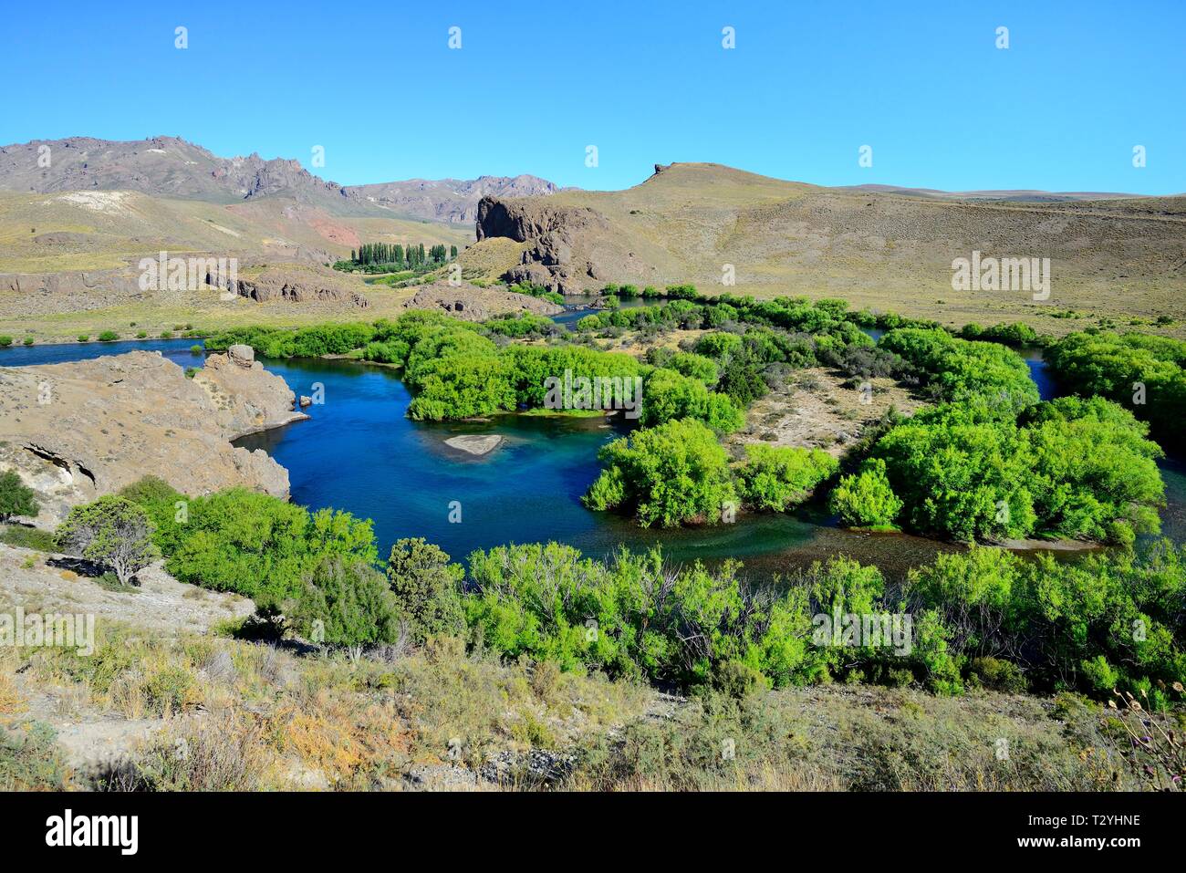 Green valley at Rio Limay, Valle Encantado, Andes, Province of Neuquen, Patagonia, Argentina Stock Photo