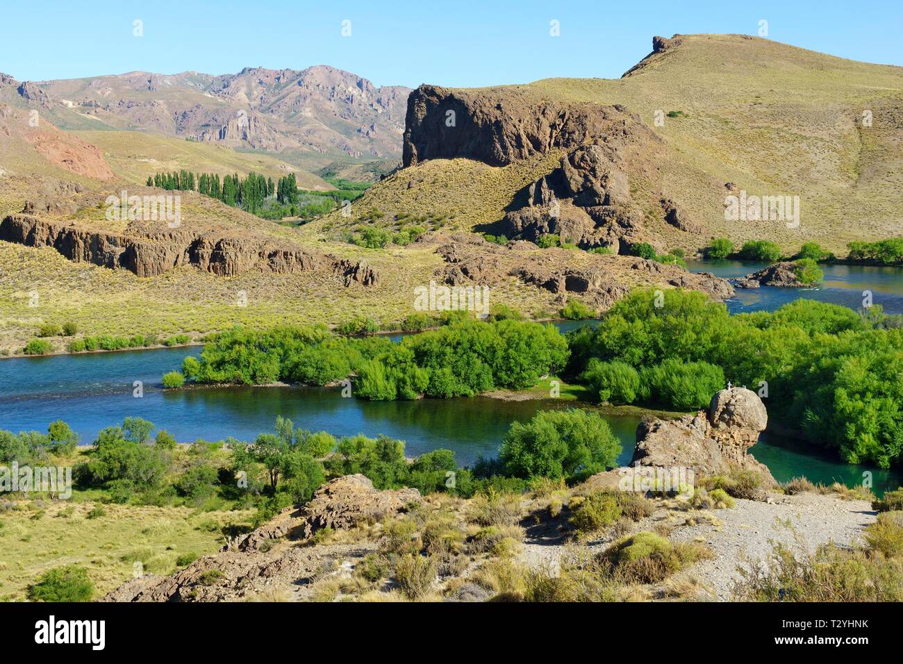 Green valley at Rio Limay, Valle Encantado, Andes, Province of Neuquen, Patagonia, Argentina Stock Photo