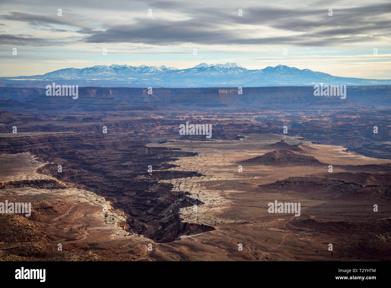 View from Grand View Point Overlook to erosion landscape, rock formations, Monument Basin, White Rim, back mountain range La Sal Mountains, La Sal Stock Photo