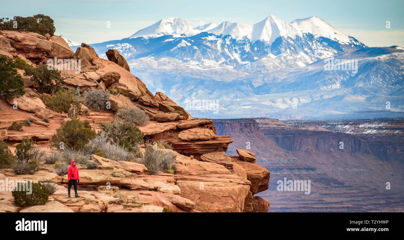 View from Grand View Point to La Sal Mountains, La Sal Range, Island in the Sky, Canyonlands National Park, Moab, Utah, USA Stock Photo