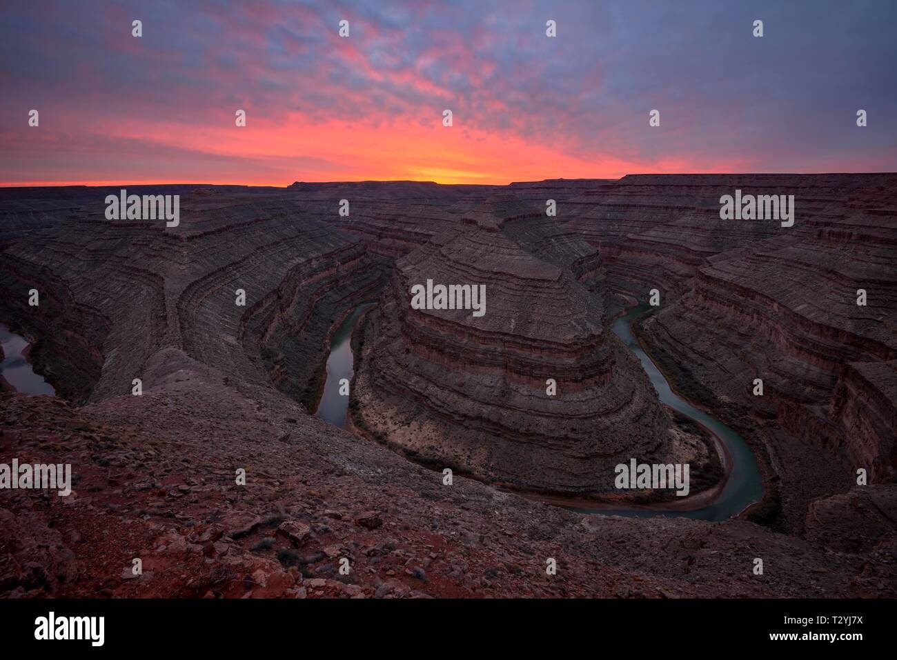 Goosenecks at sunset, river loop, meander of the San Juan River, Goosenecks State Park, Utah, America, USA Stock Photo