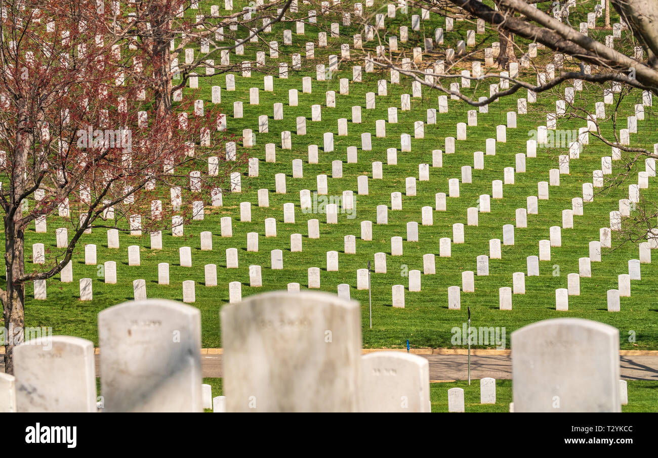Rows of Headstones at Arlington National Cemetery Stock Photo Alamy