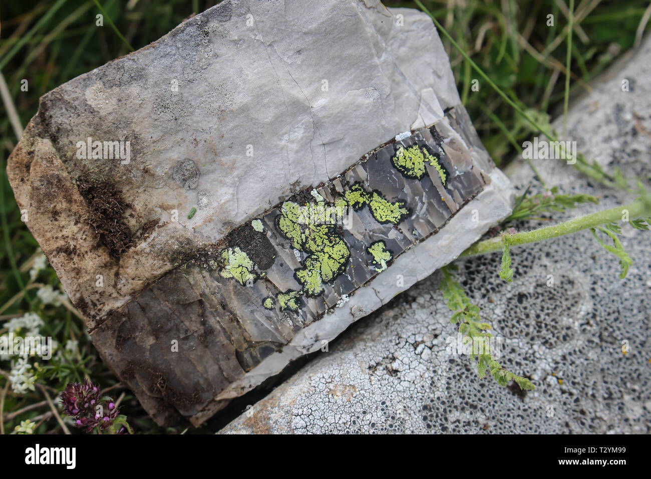 Interesting layers of the stone with map lichens, latin name Rhizocarpon geographicum at Ostrovice mountain ridgde (Mali i Ostrovicës) in Albania Stock Photo