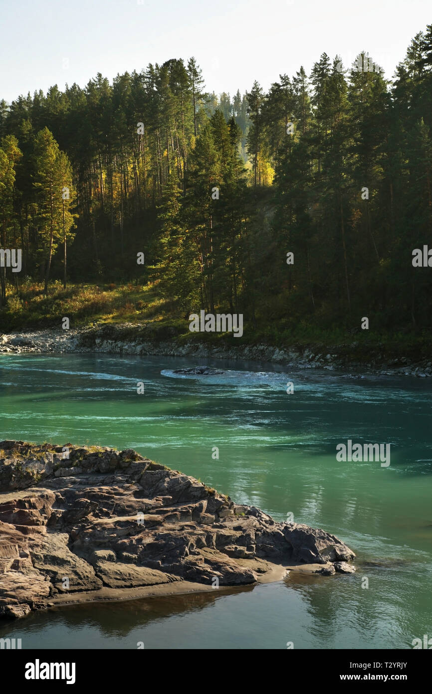 Katun river in Manzherok village. Altai Republic. Russia Stock Photo