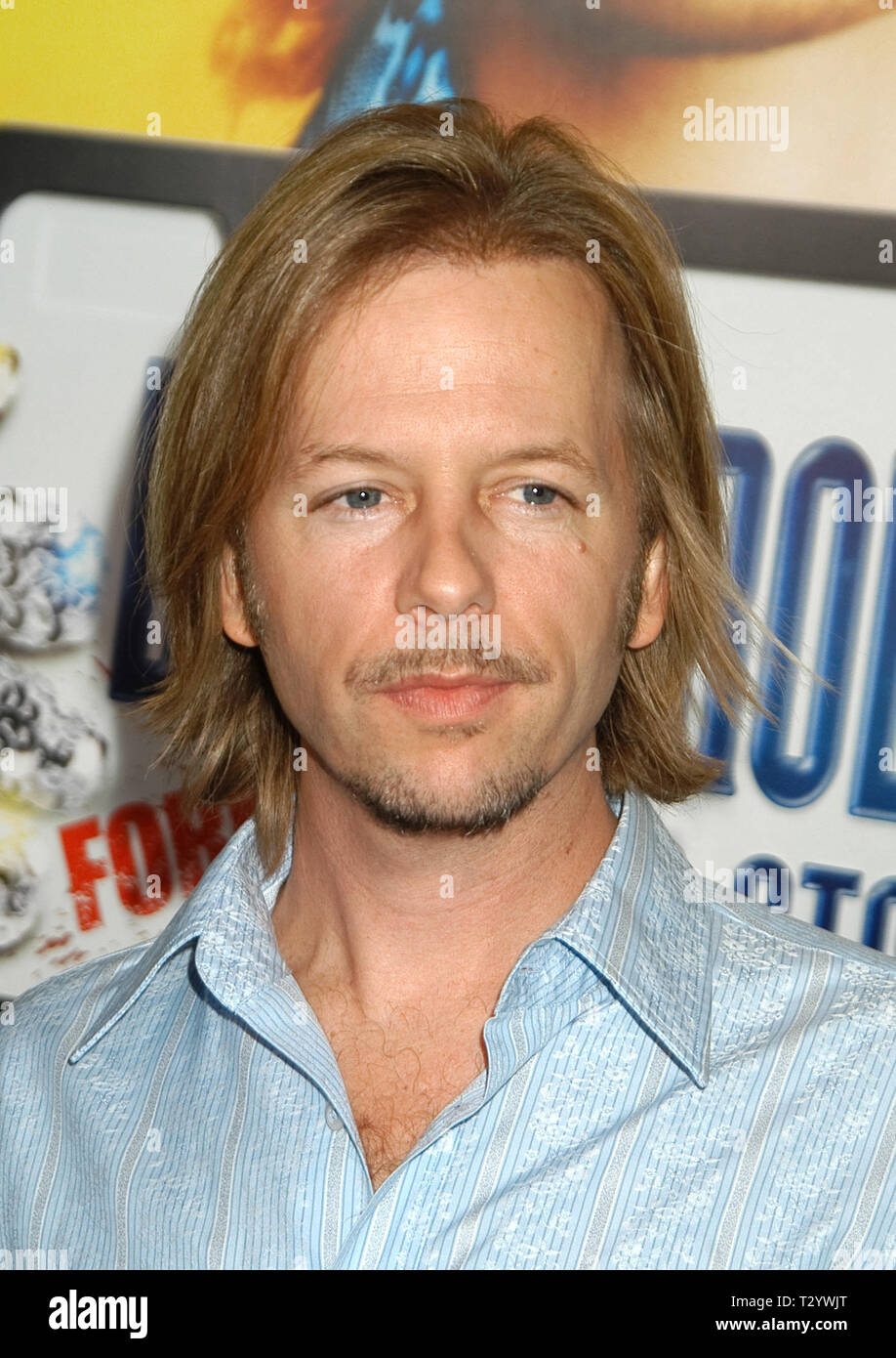David Spade at the "Dickie Roberts: Former Child Star" World Premiere benefiting the Chris Farley Foundation at the Cinerama Dome at the ArcLight Hollywood in Hollywood, CA. The event took place on Wednesday, September 3, 2003.  Photo by: SBM / PictureLux  File Reference # 33790_782SBMPLX Stock Photo