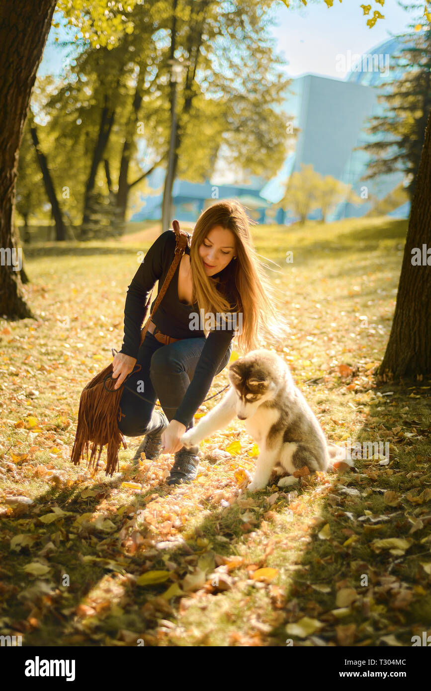 young beautiful brown haired girl is training puppy of husky. the dog gives paw in woman's hand Stock Photo