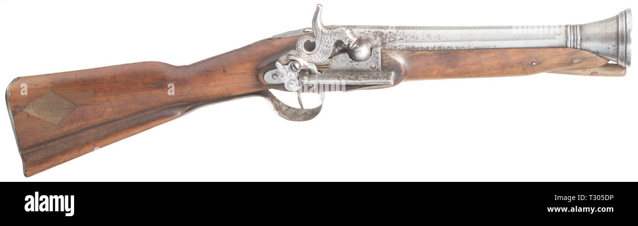 LONG ARMS, caplock blunderbuss, Spain, circa 1850, Additional-Rights-Clearance-Info-Not-Available Stock Photo