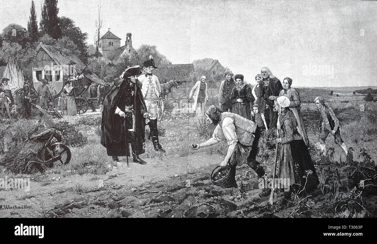 Digital improved reproduction, Friedrich the tallness supervises personally the cultivation of potatoes in the agriculture, Friedrich der Große überwacht persönlich den Kartoffelanbau in der Landwirtschaft, from an original print from the 19th century Stock Photo