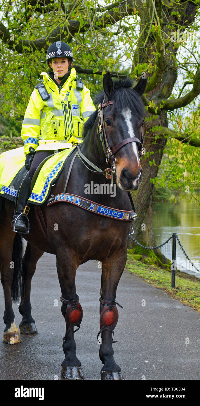 Mounted Police Officer preparing for a photography session at the Bishop's Palace in Wells, Somerset, UK Stock Photo