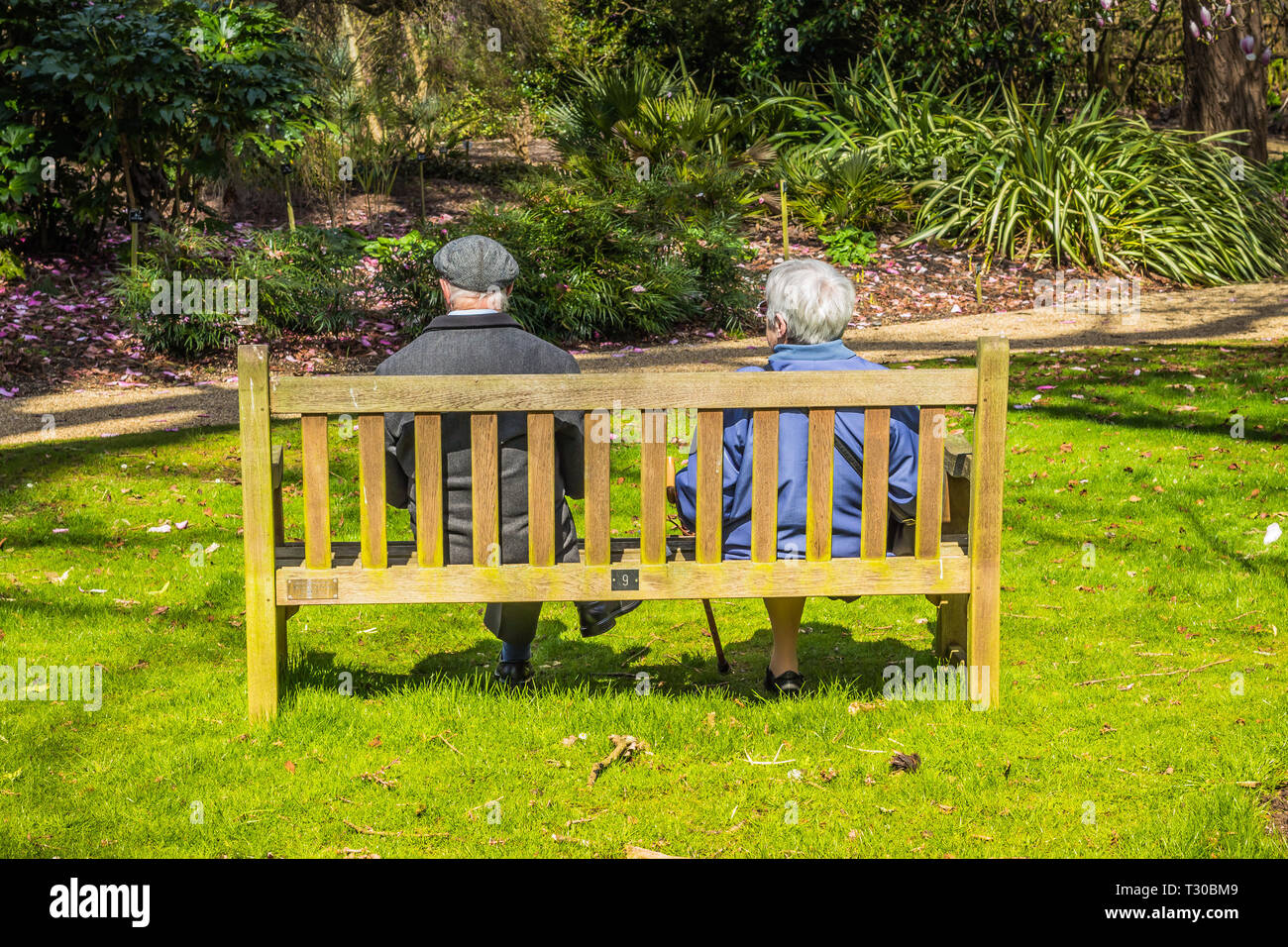 Unrecognizable elderly couple sitting on a wooden park bench.  View from behind Stock Photo