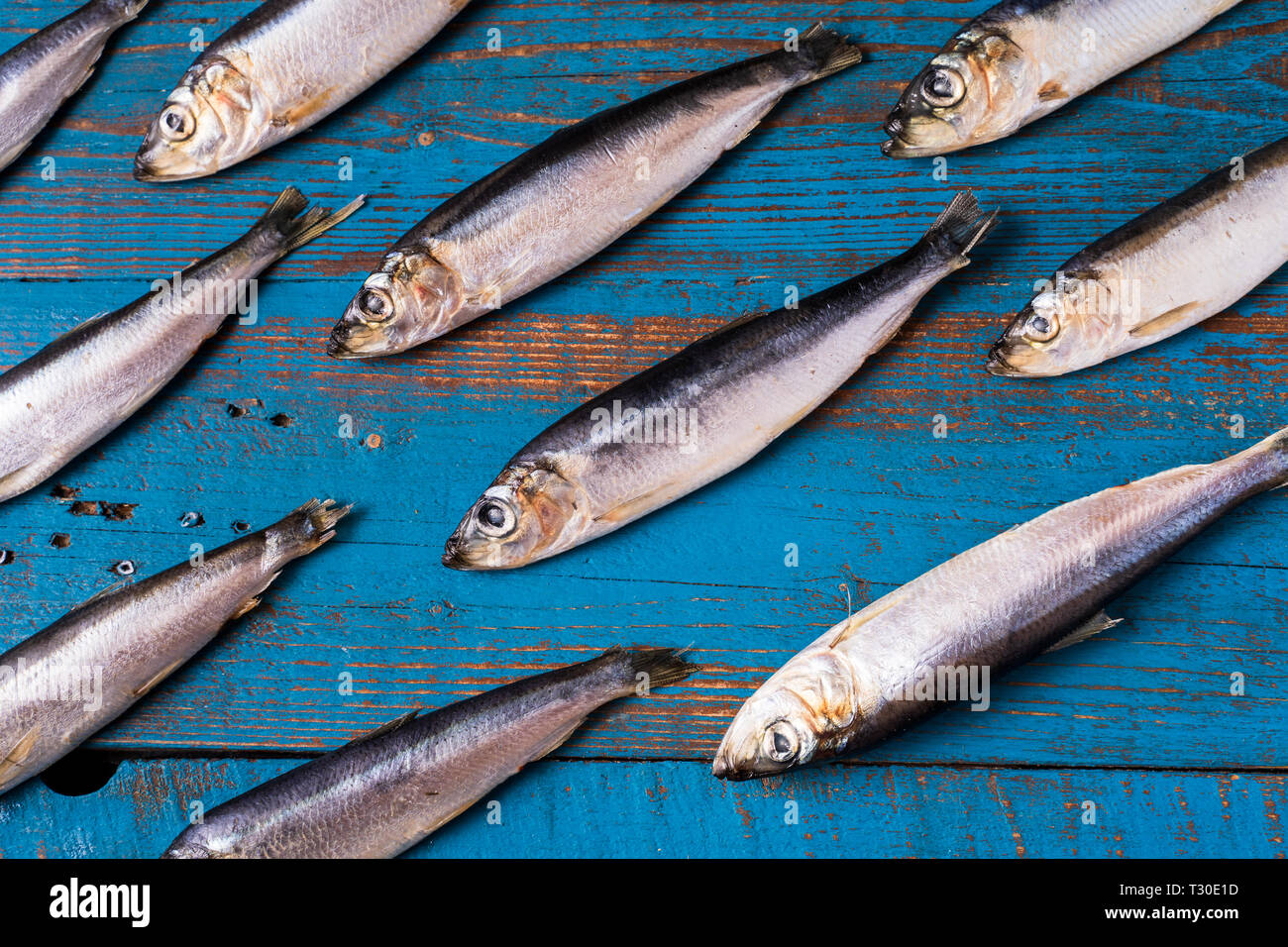 Rustic style. Fish pattern. Herring fish on an old blue wooden background, flat lay, top view. Stock Photo