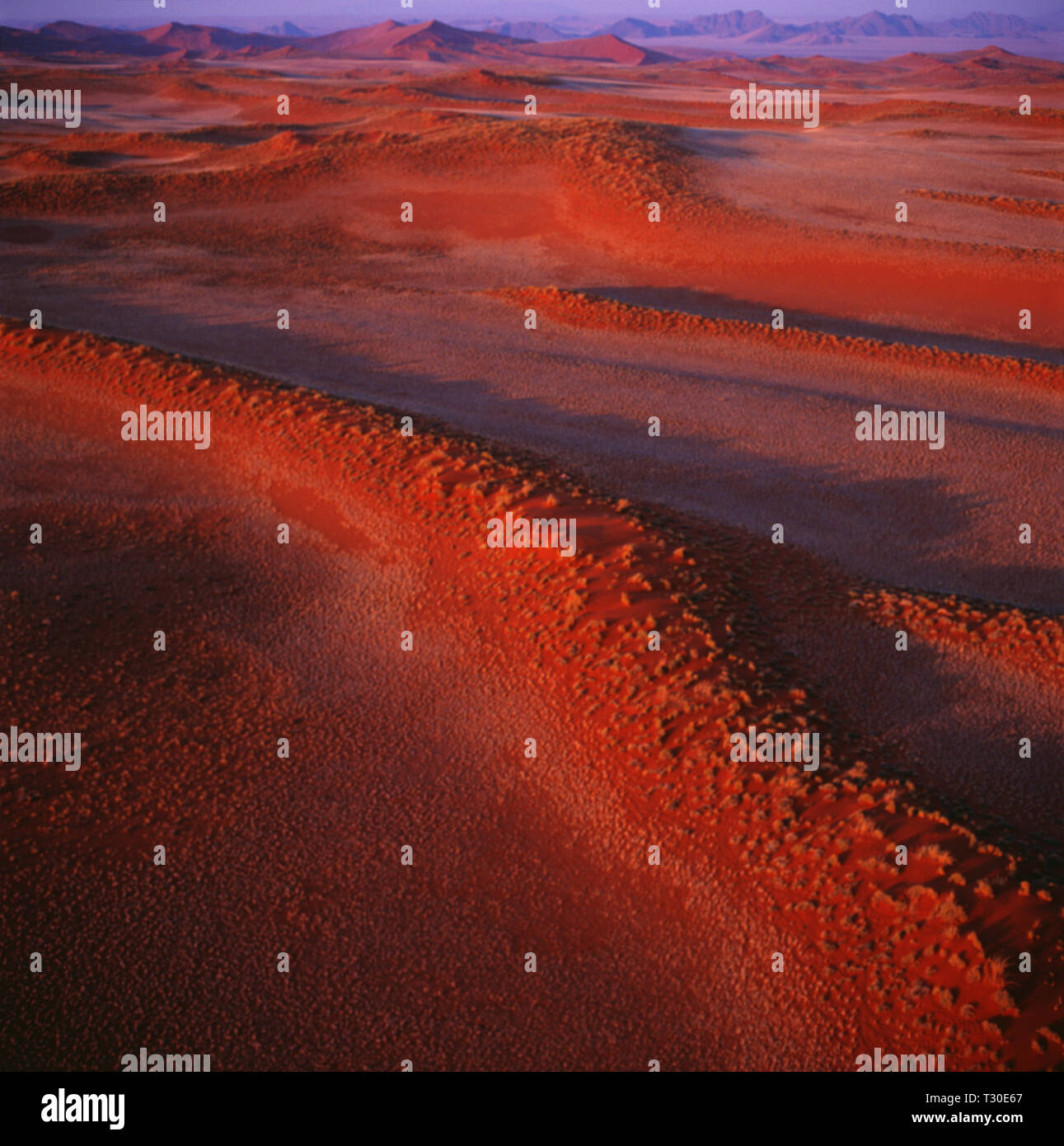 Dune of the Namib desert Stock Photo Alamy
