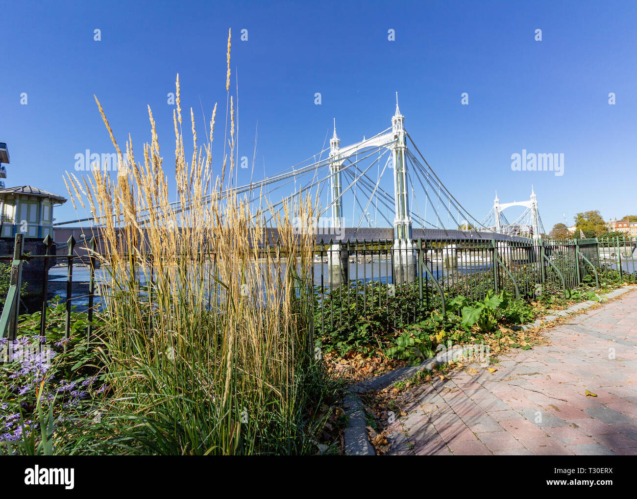 Albert Bridge crosses the Thames River near Battersea Park in London