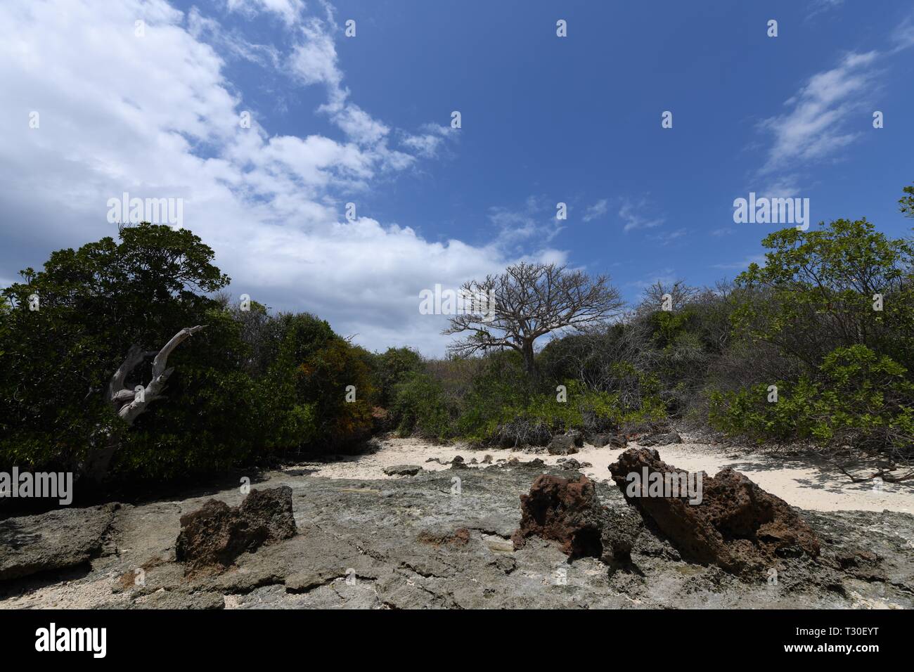 Rock formations at Turtle Beach/Heron Point on Azura Quilalea Private Island, Quirimbas Archipelago, Mozambique, Africa Stock Photo