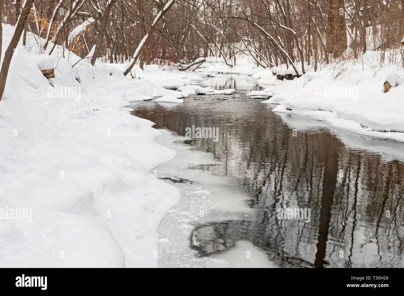 minnehaha creek and forest blanketed with fresh snow during winter in minneapolis minnesota Stock Photo