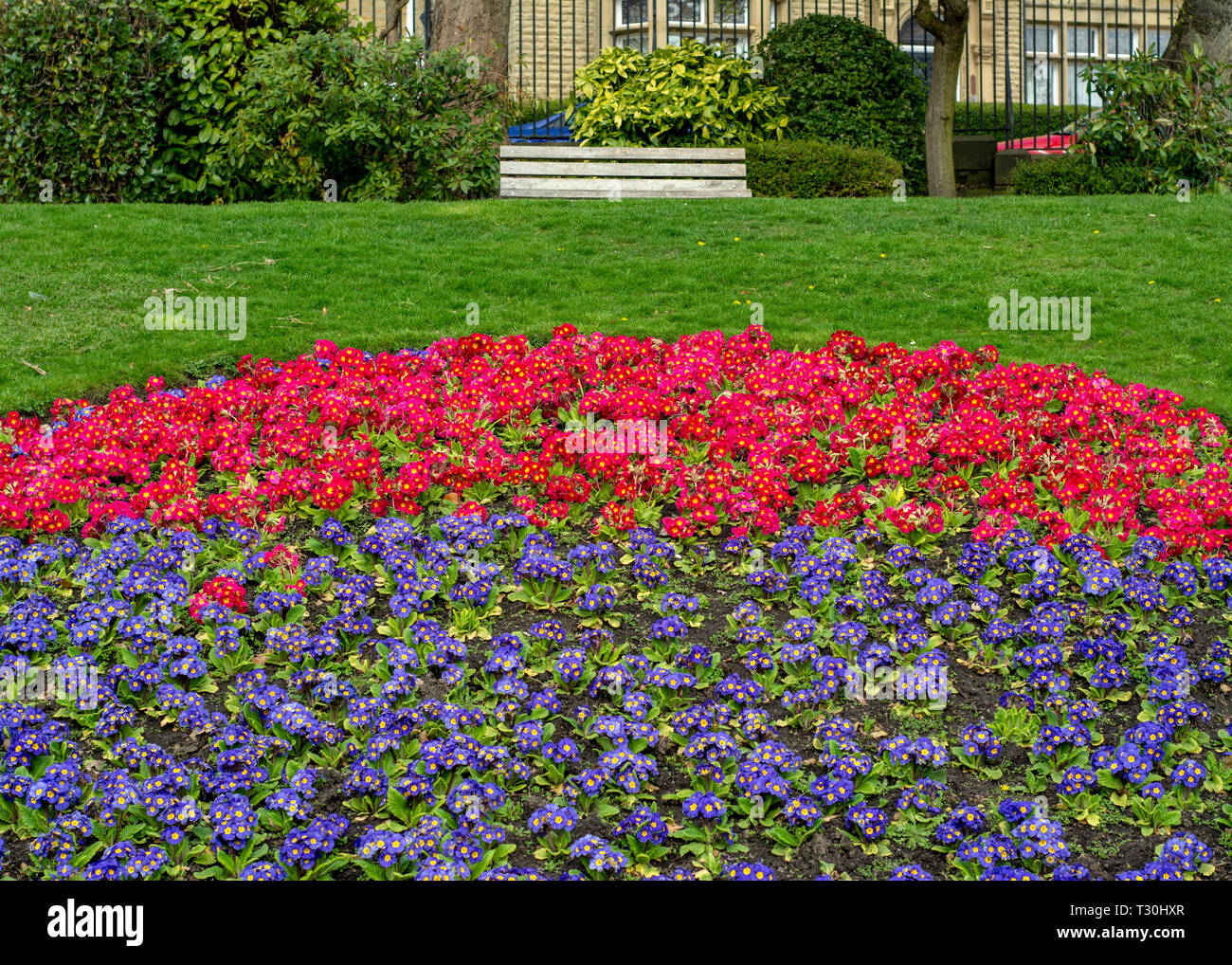Flowers landscaped in to a circle in the gardens at Greenhead Park