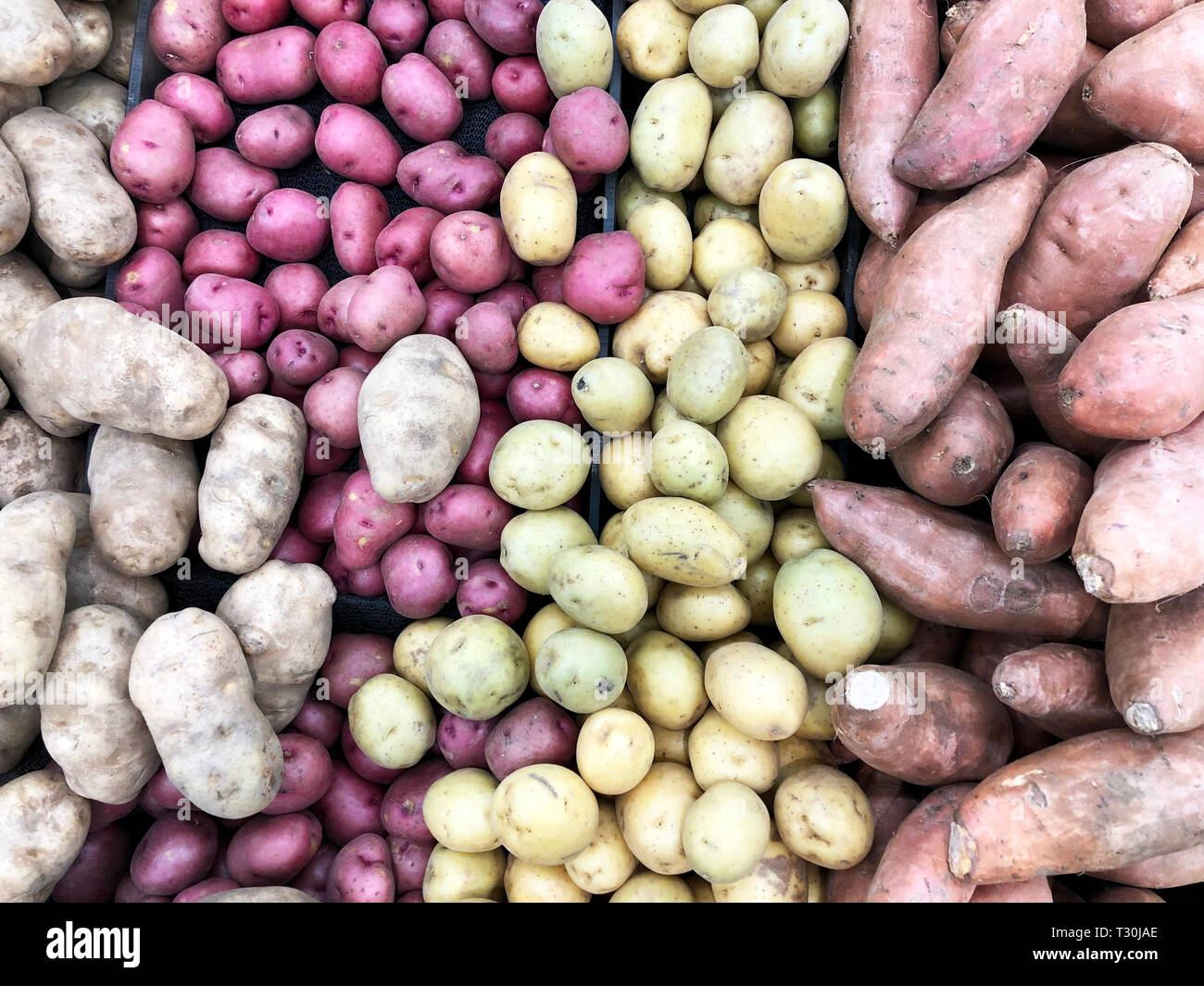Several types of Potatoes make a Potato background Stock Photo