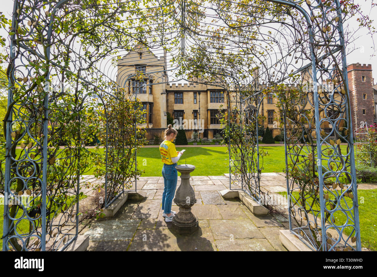 Transferable skills hi-res stock photography and images - Alamy