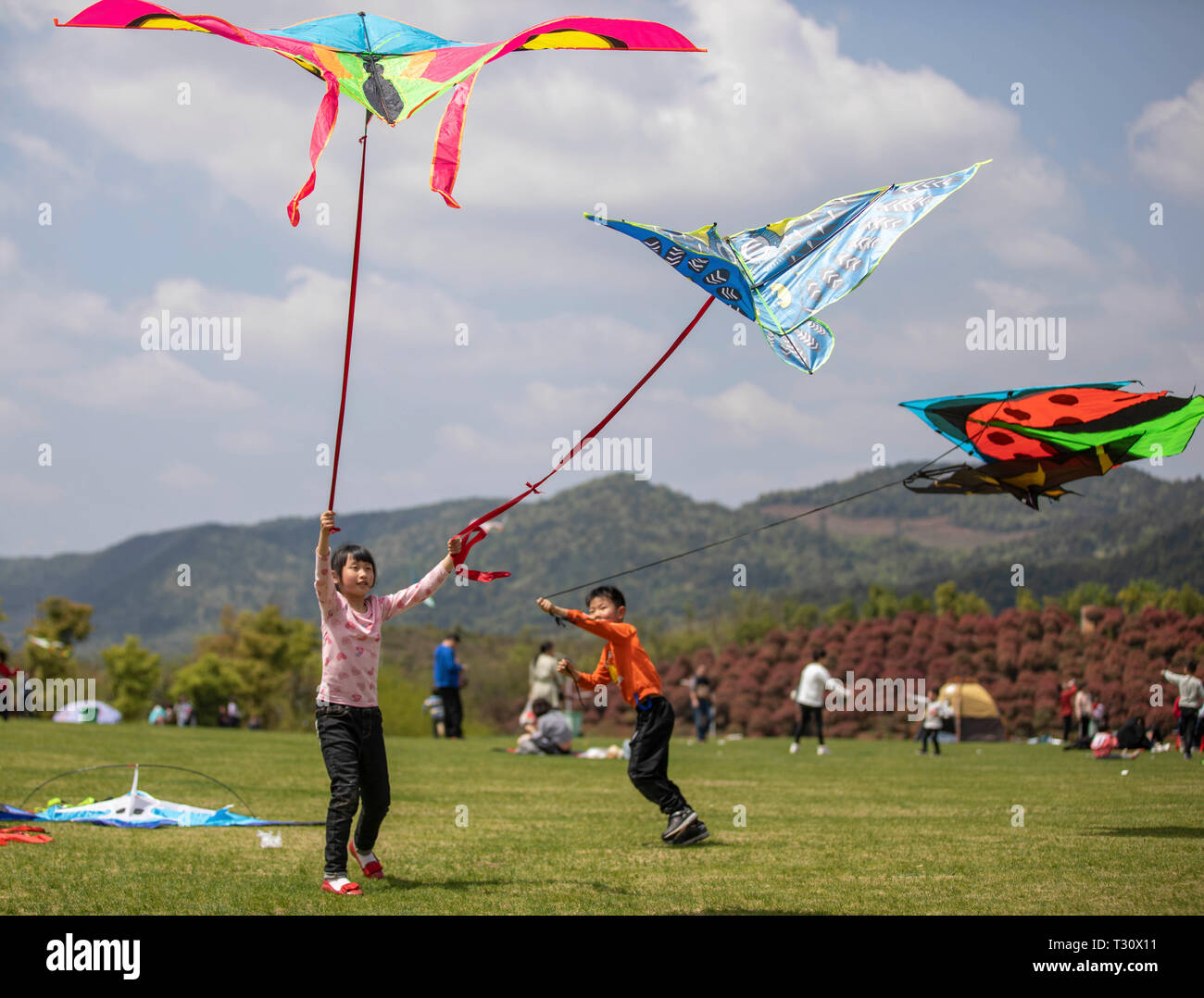 Crianças Asiáticas Indo Em Saída De Primavera E Voando Peixes Dourados E  Papagaios De Águia No Festival De Qingming. Tradução: Festival De Qingming.  A Clareza E Brilho Do Cenário Da Primavera Trazem