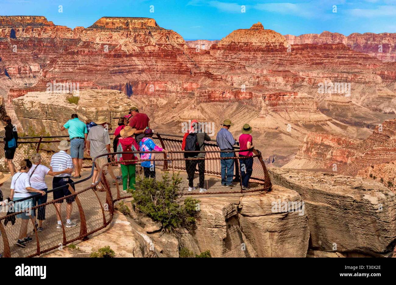 Eight millions years old hires stock photography and images Alamy(02)