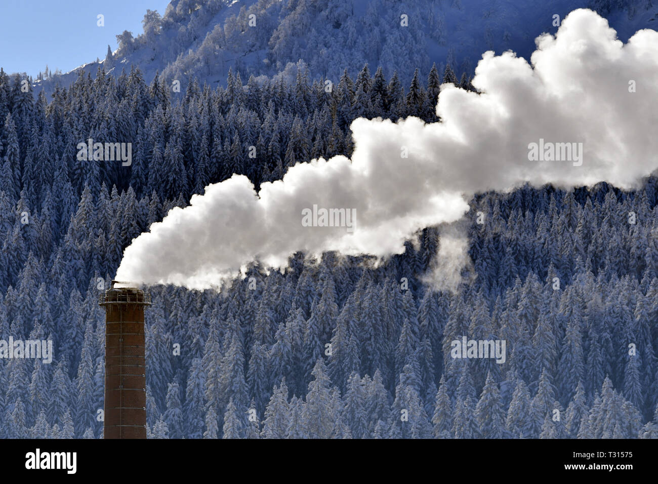 White smoke rises from a chimney of a paper mill in Hochfilzen (Austria. | Usage worldwide Stock Photo
