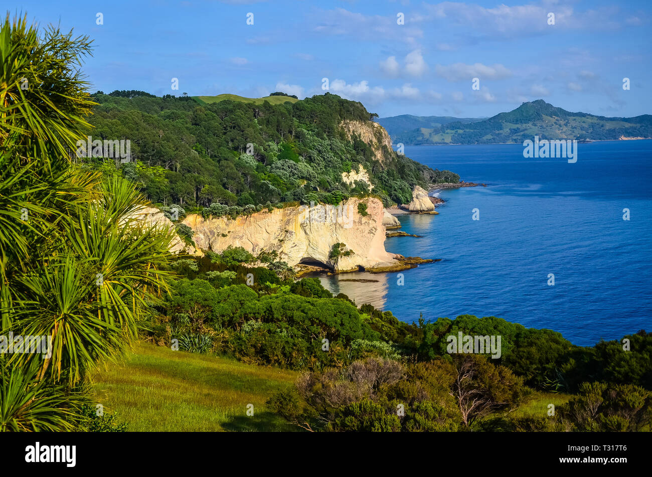 Sunrise at Cathedral Cove coastline with blue sky above. Stock Photo