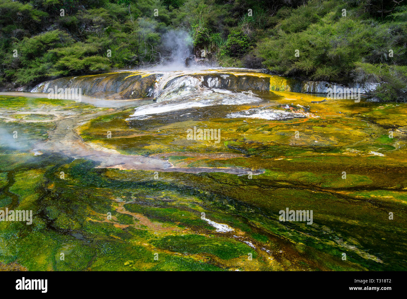 Thermal Pool at Waimangu Volcanic Valley in Rotorua, North Island, New Zealand. Stock Photo