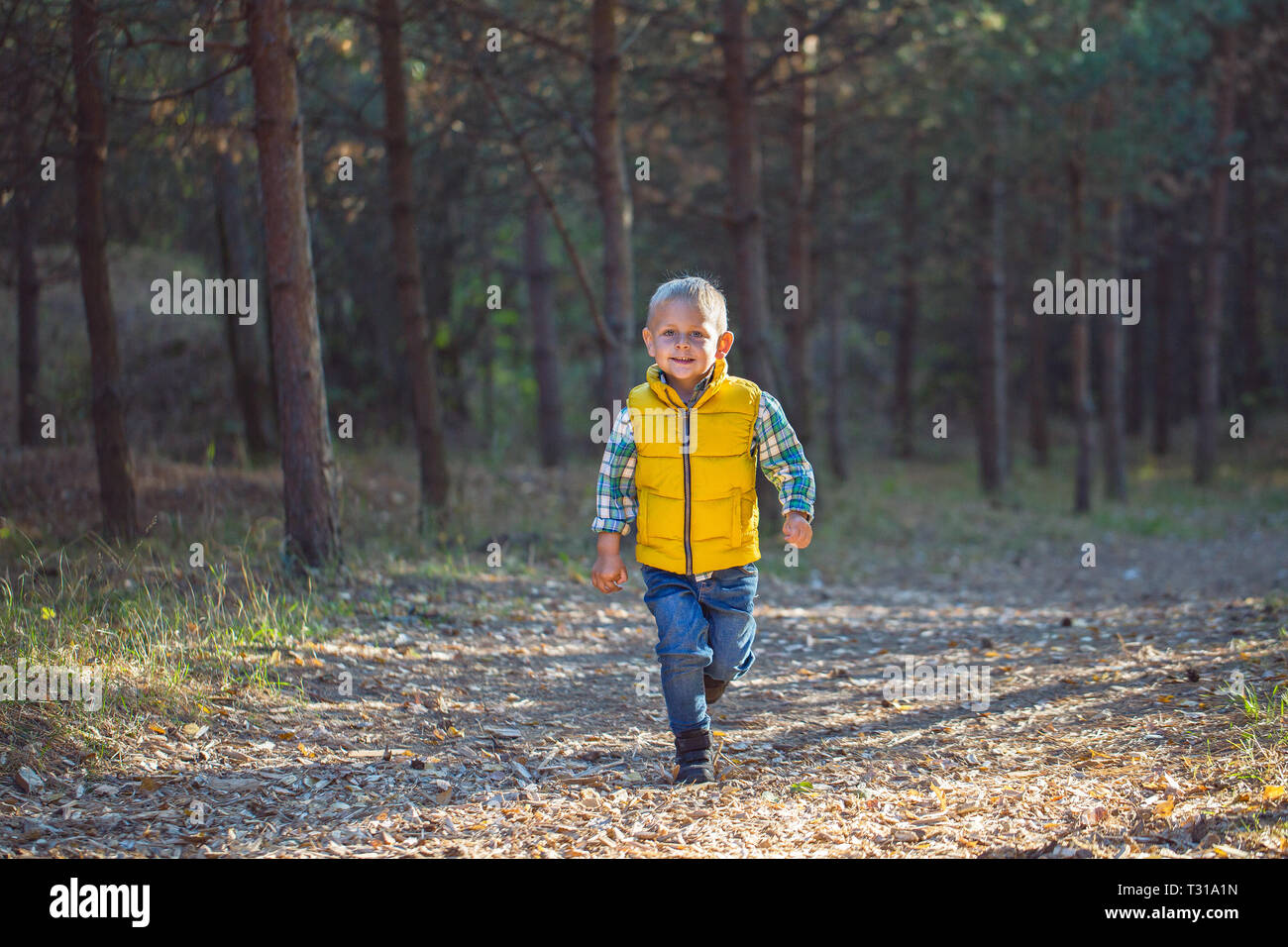 Happy young boy running along a forest path on a sunny summer day Stock ...