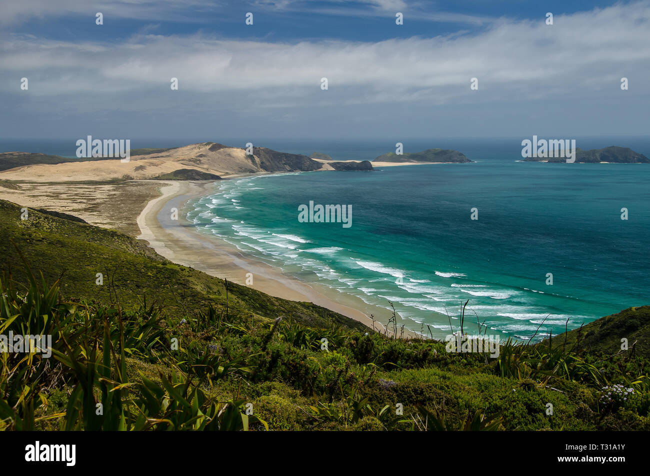 Coastline view from Cape Reinga with blue sky and white clouds above, Northland, New Zealand. Stock Photo