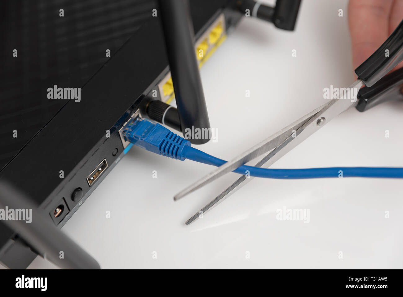Network and data protection concept with scissors. Internet router or switch with cable plugged in. Stock Photo