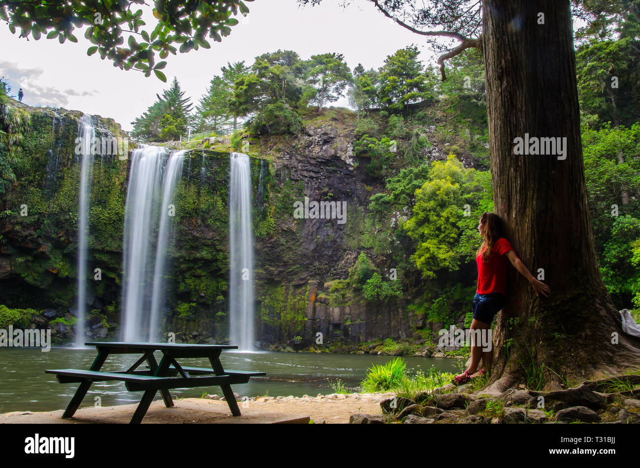 Whangarei Falls on long exposure with tree and a girl person tourist in red t-shirt in the foreground. Stock Photo