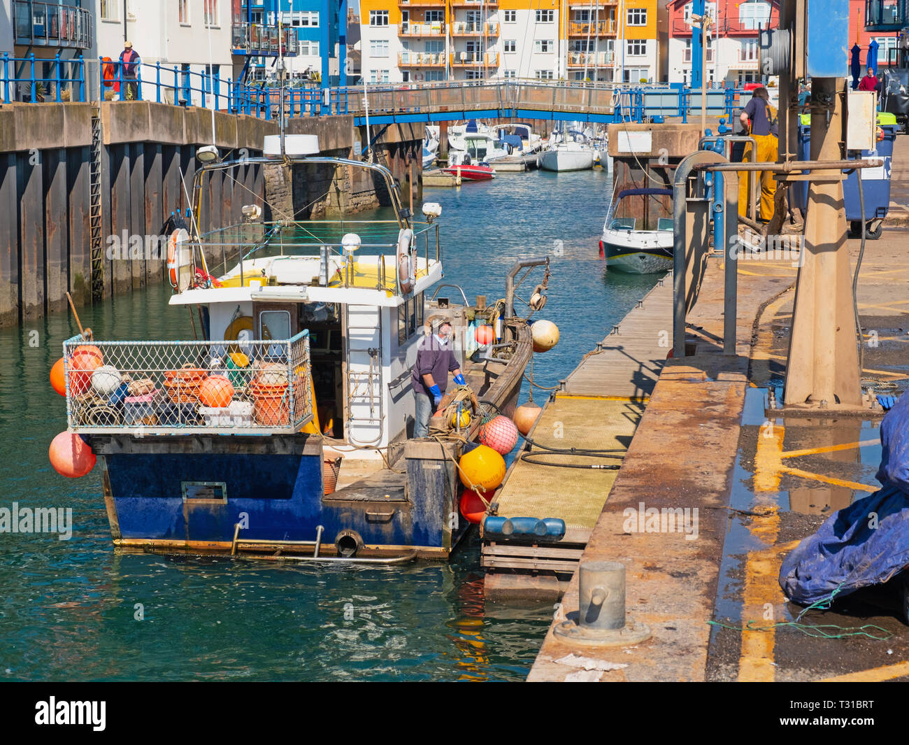 Exmouth pier hires stock photography and images Alamy