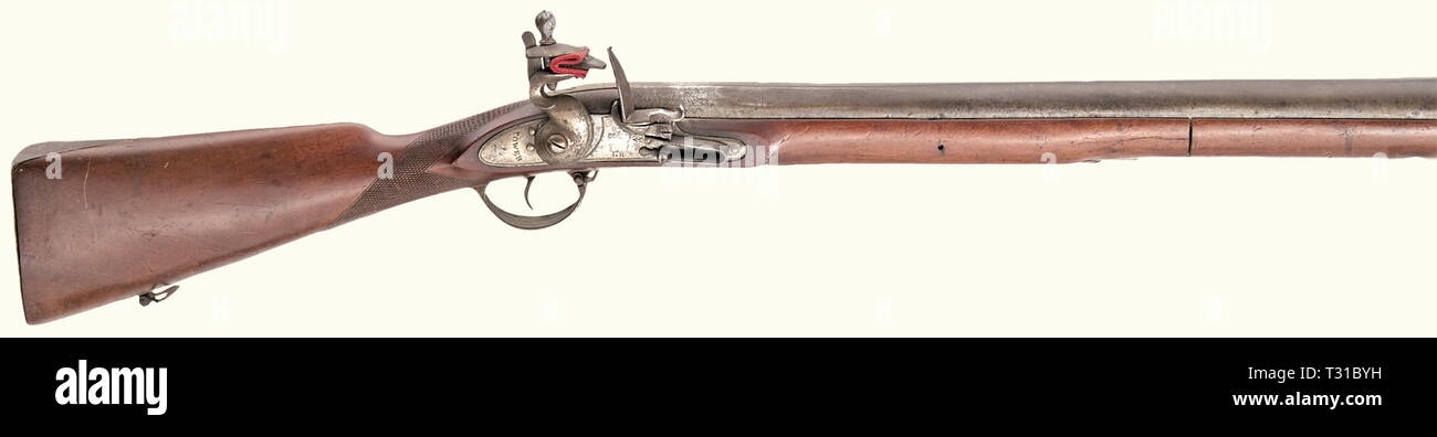 Civil long arms, flintlock and caplock, flintlock blunderbuss, Additional-Rights-Clearance-Info-Not-Available Stock Photo