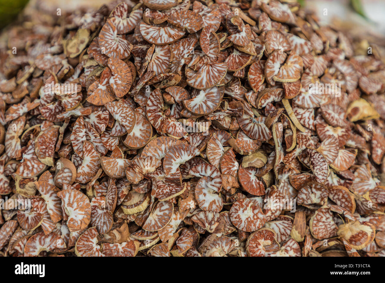 February 2019. Phuket Town Thailand. Dried mushrooms for sale at the 24