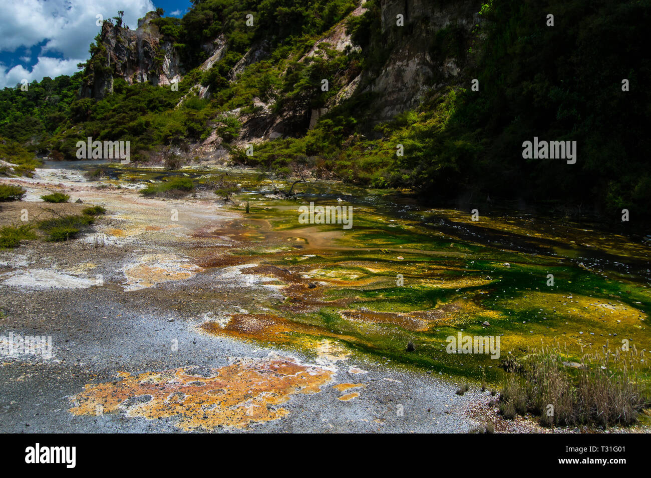 Thermal Pool at Waimangu Volcanic Valley in Rotorua, North Island, New Zealand. Stock Photo