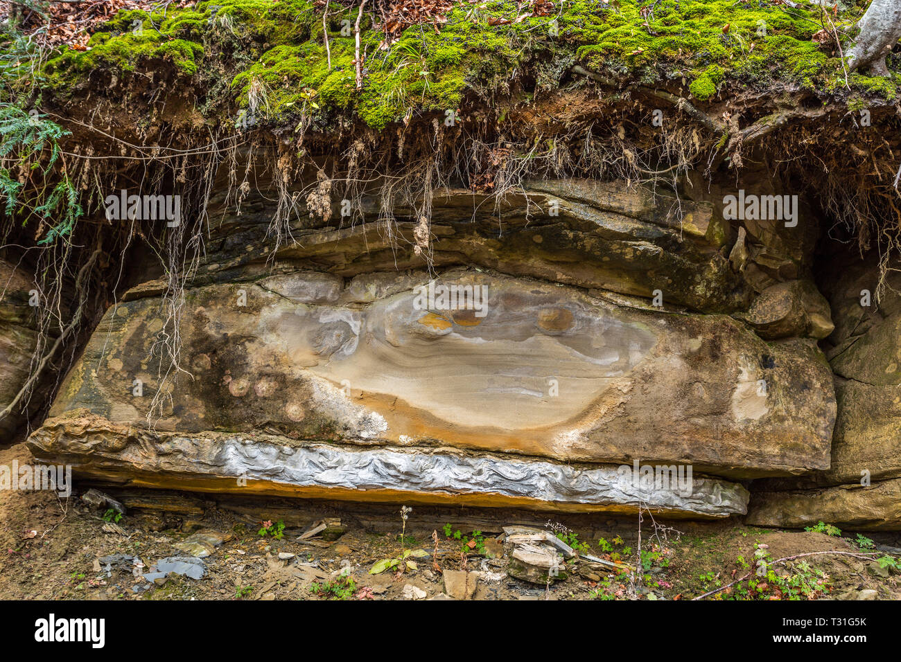 section of layers of the rocks of the Laga mountains Stock Photo