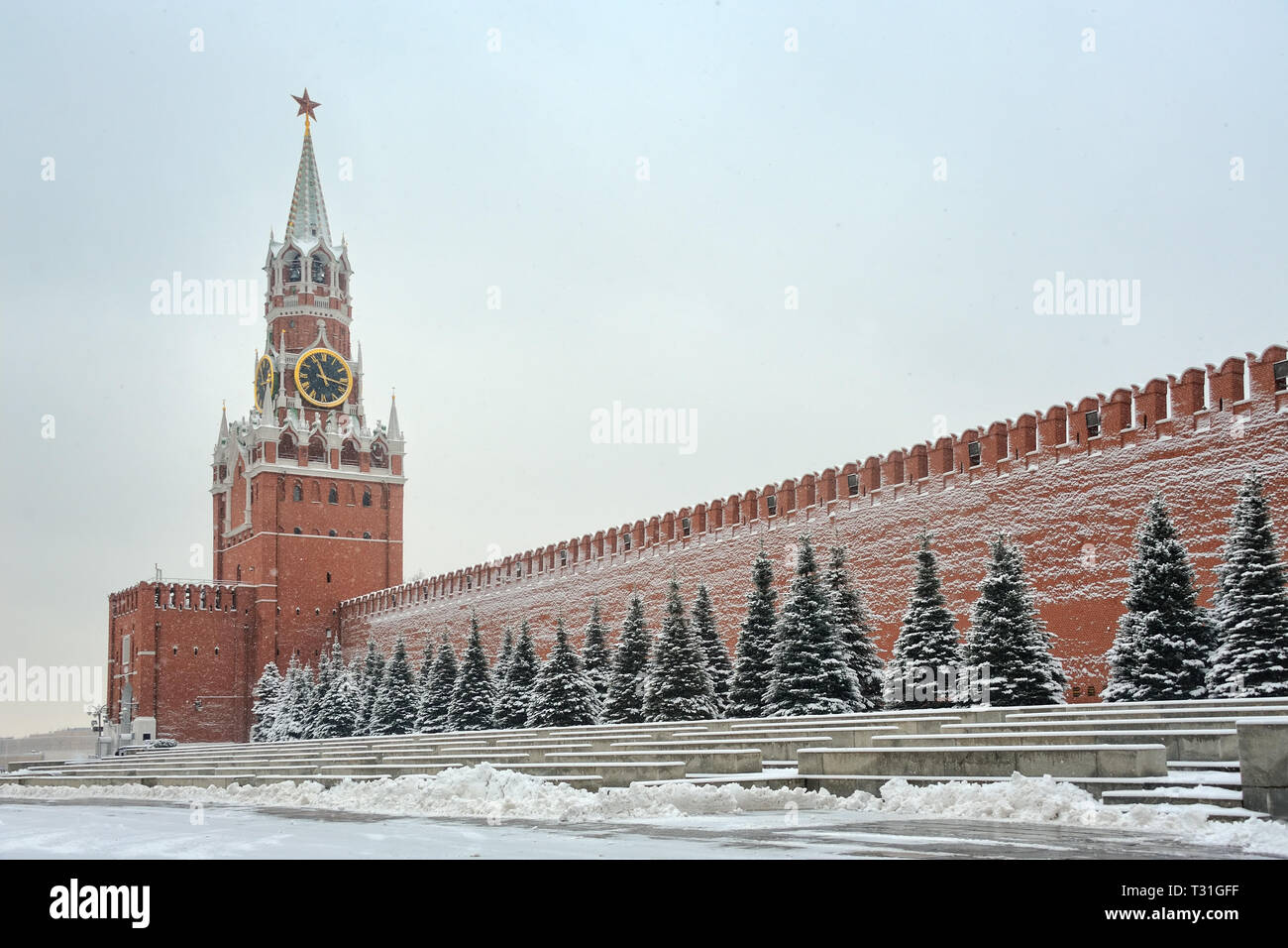 = Spasskaya Tower and Kremlin Wall in Snow =  View from Red Square on Spasskaya Tower (Savior’s Tower) and a line of blue spruce (Picea pungens) along Stock Photo