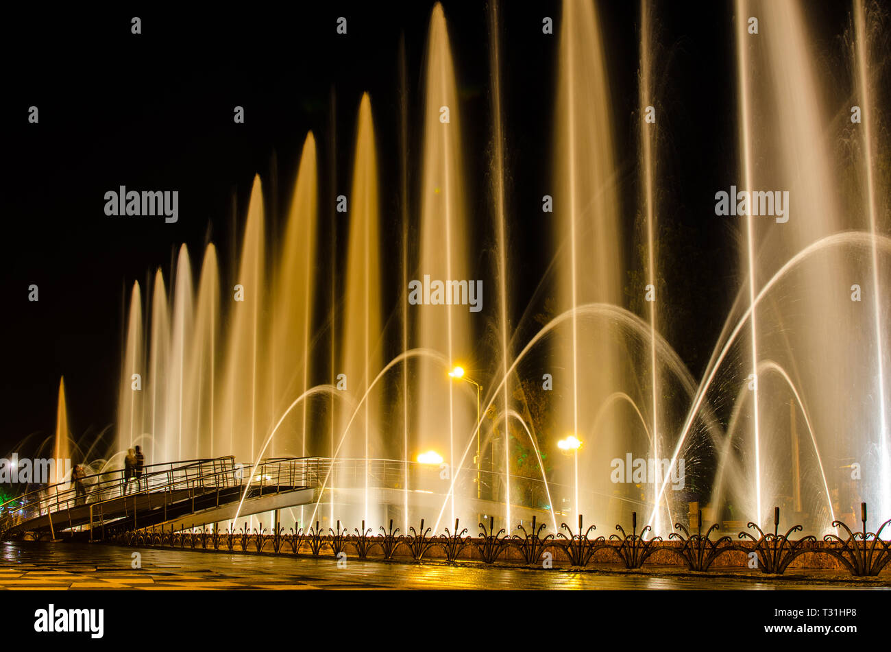 Night view of illuminated Batumi Boulevard Dancing Fountain Stock Photo ...