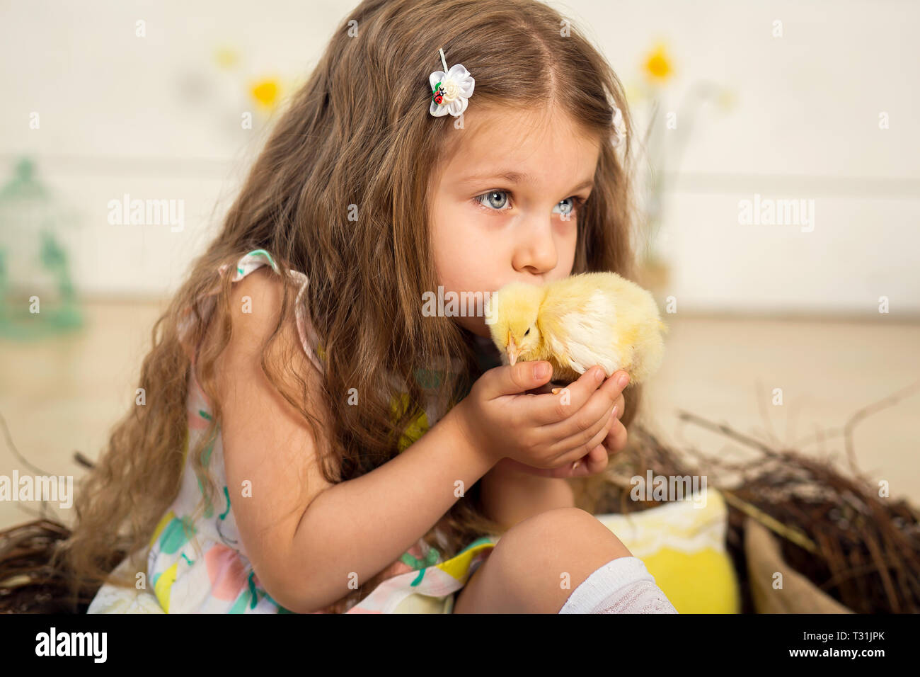 Beautiful little girl kisses a cute fluffy Easter chicken Stock ...