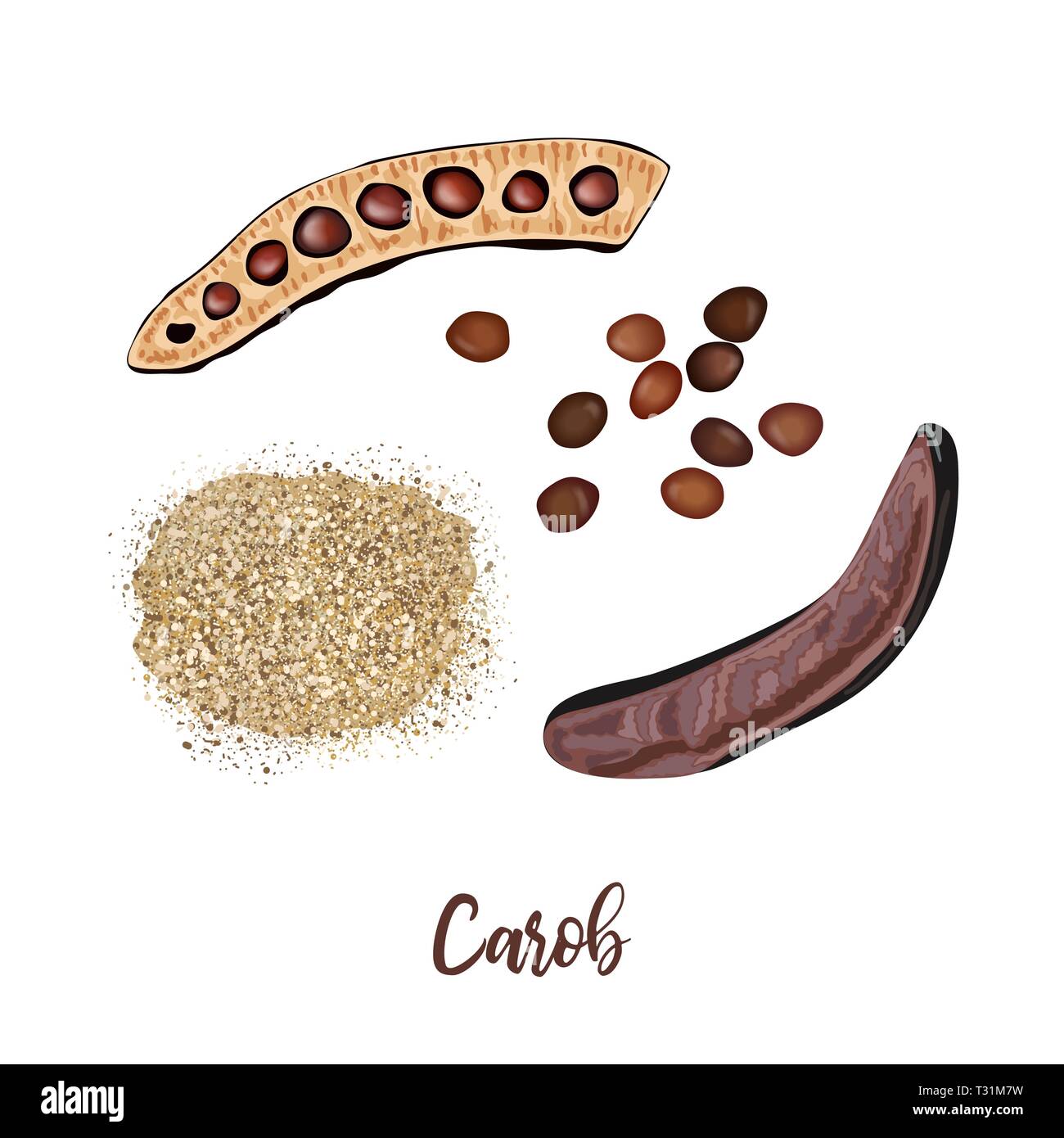 Ripe carob sweet pods whole and halved, seeds and carob powder on the white background. vector illustration Stock Vector