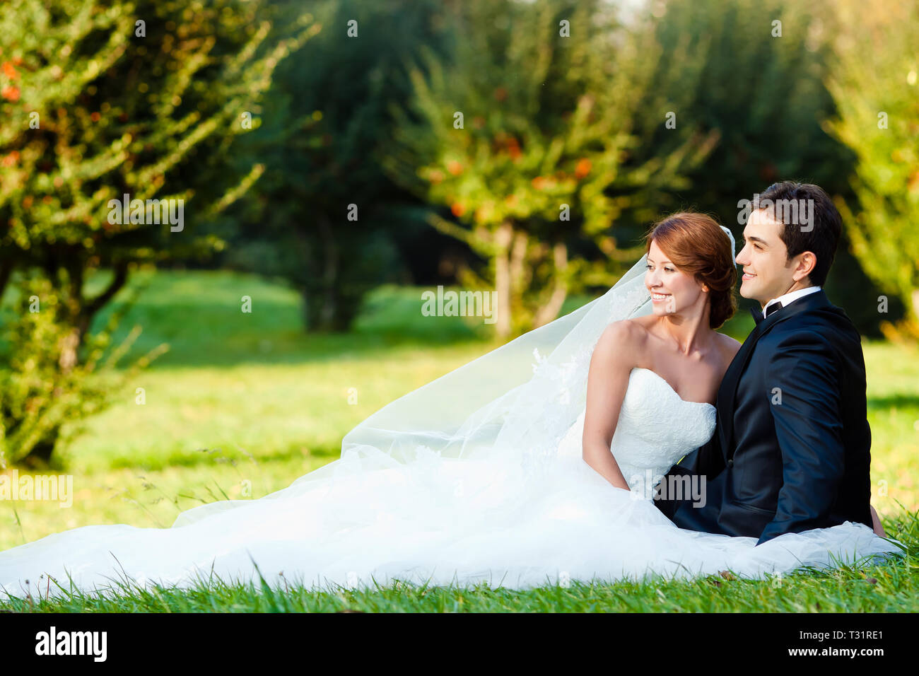 happy bride and groom at a park on their wedding day Stock Photo - Alamy