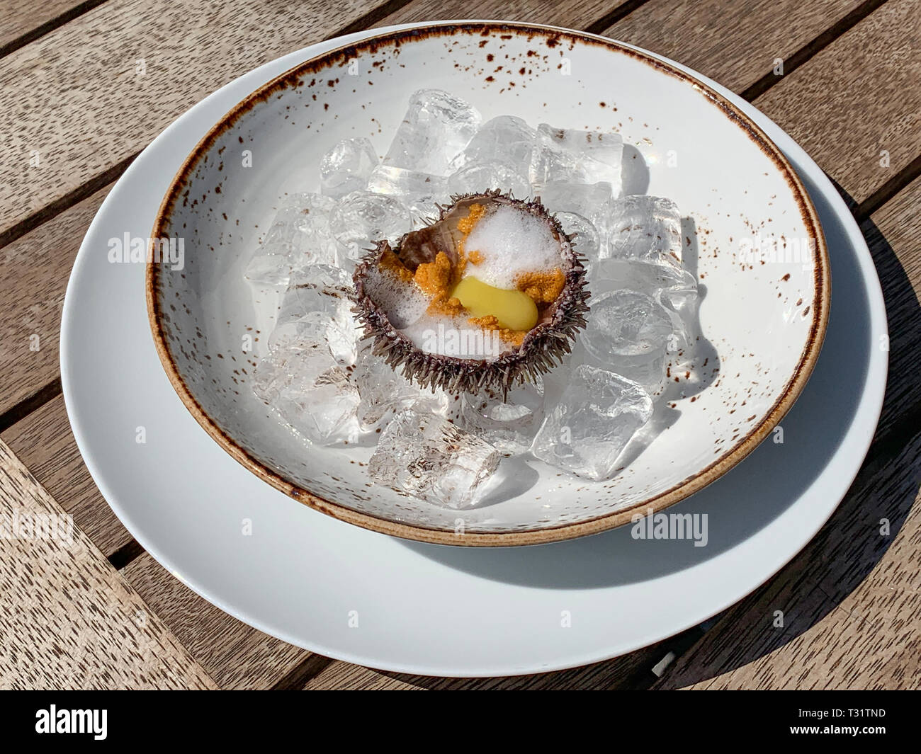 Fresh sea urchin on ice, fresh sea urchin with quail egg in a restaurant on the open veranda. Stock Photo