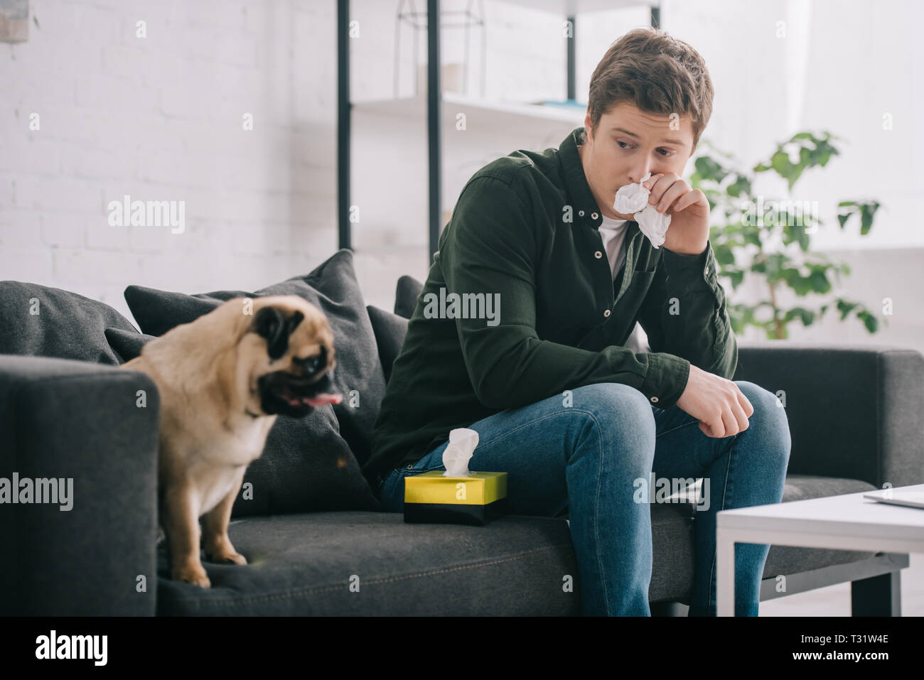 man allergic to dog holding tissue near nose and sitting on sofa with
