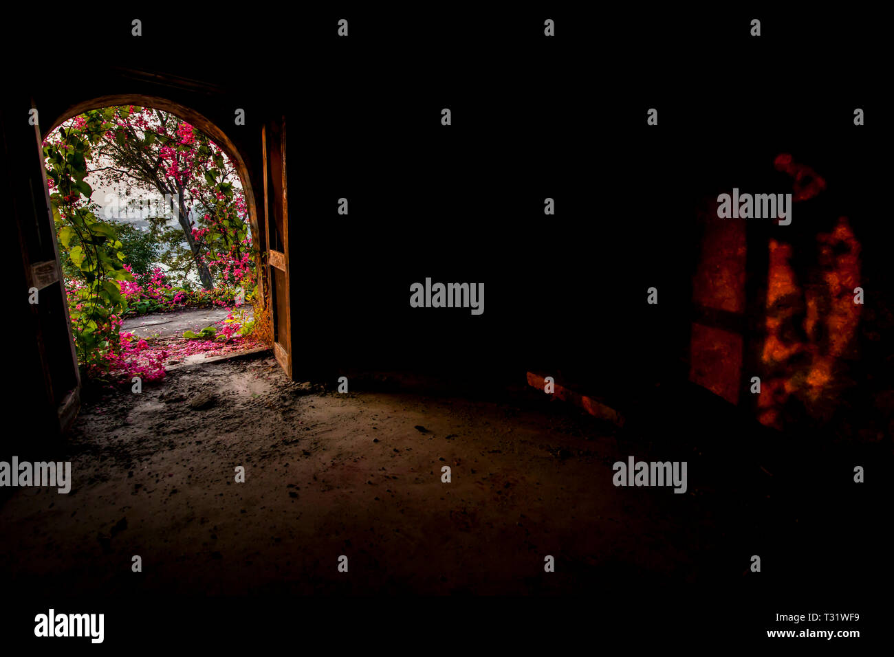 A dome house at the abandon Maharishi (Beatles) ashram in Rishikesh. India. Stock Photo