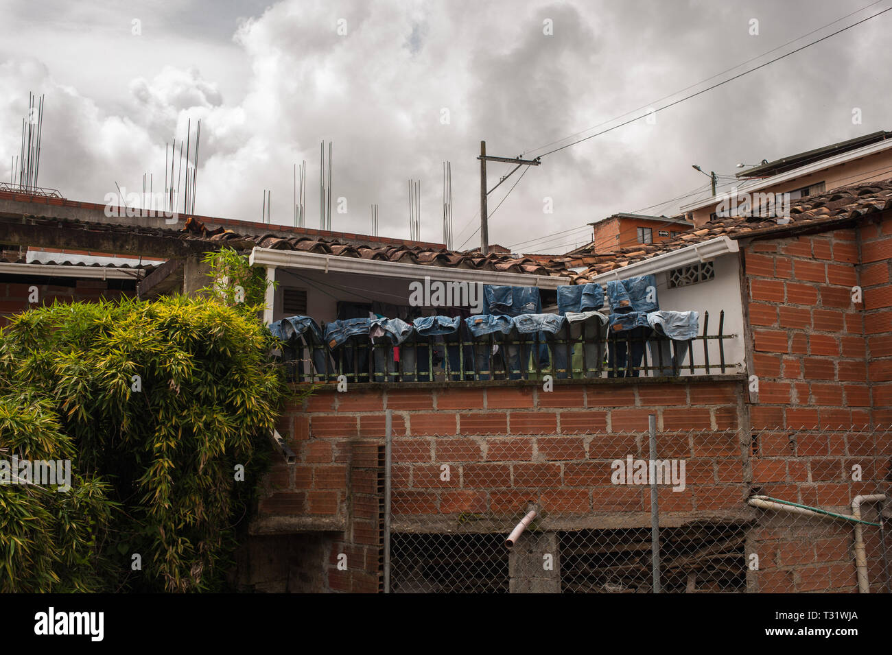 Donmatias, Antioquia, Colombia: A row of blu jeans stretched out to dry on a railing of a house. Stock Photo
