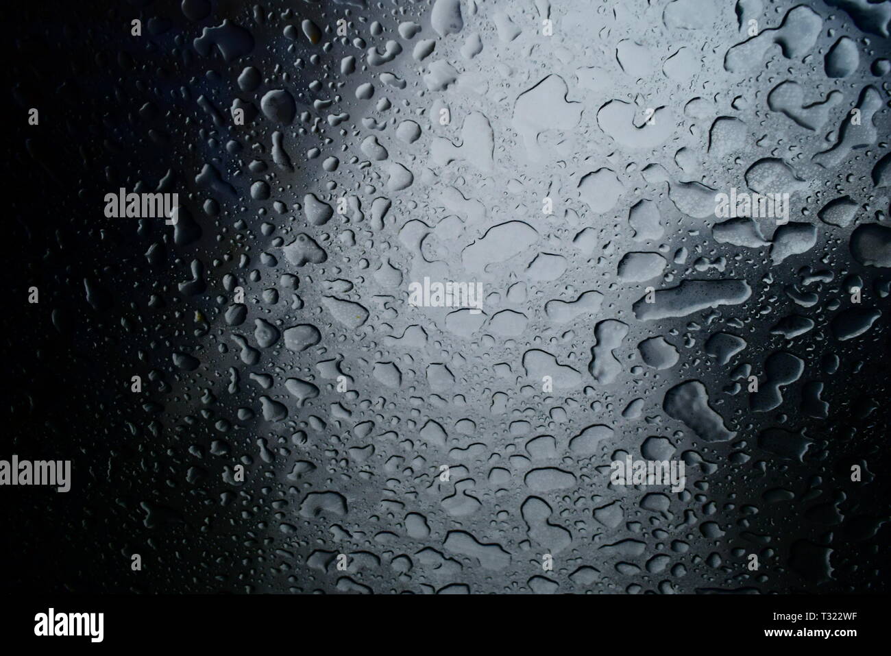 raindrops on new york city taxi cab sunroof. Stock Photo