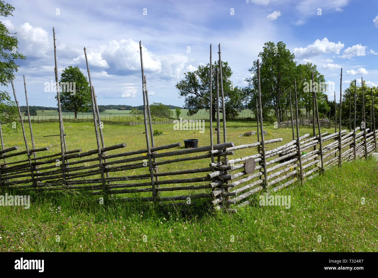 Swedish wooden traditional mediaval fencing palisade handmade construction (Långgärdsgård style) marking meadow borders property. Uppsala, Sweden. Stock Photo