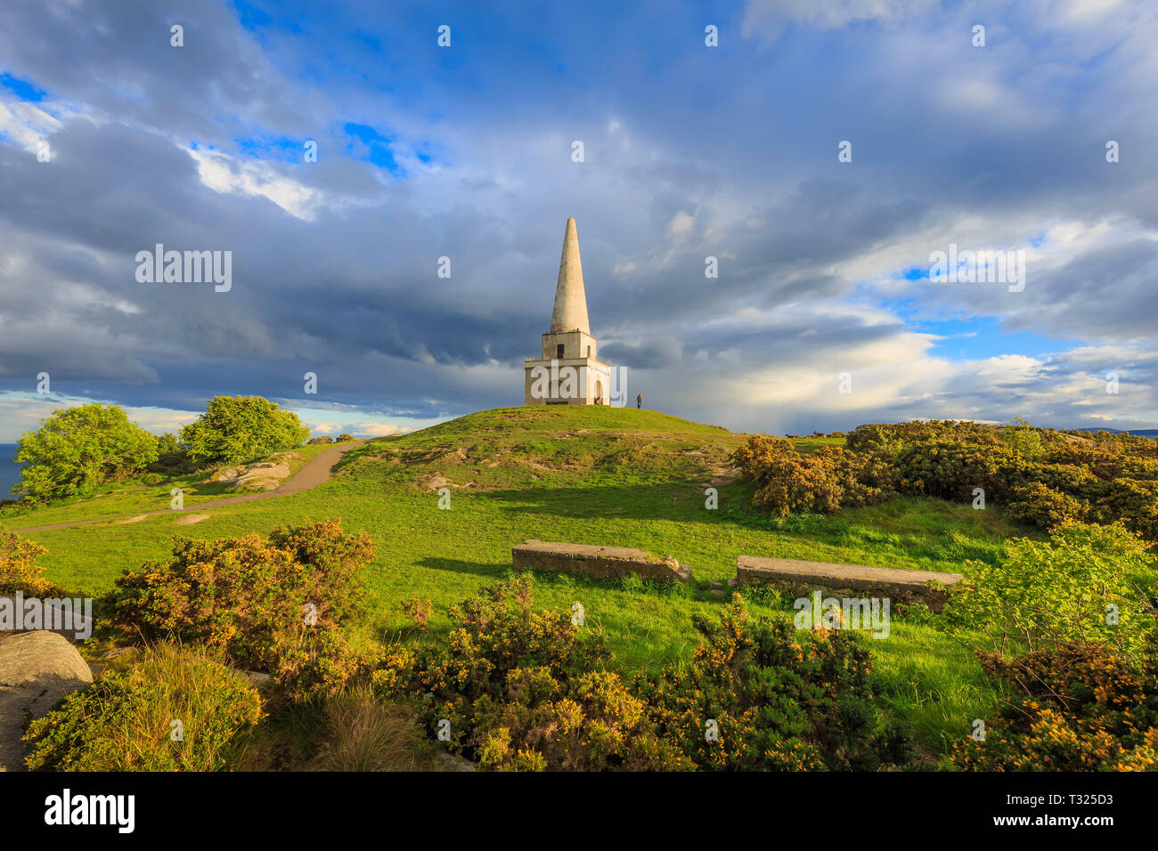 The Obelisk, Killiney Hill Park, County Dublin, Ireland Stock Photo Alamy
