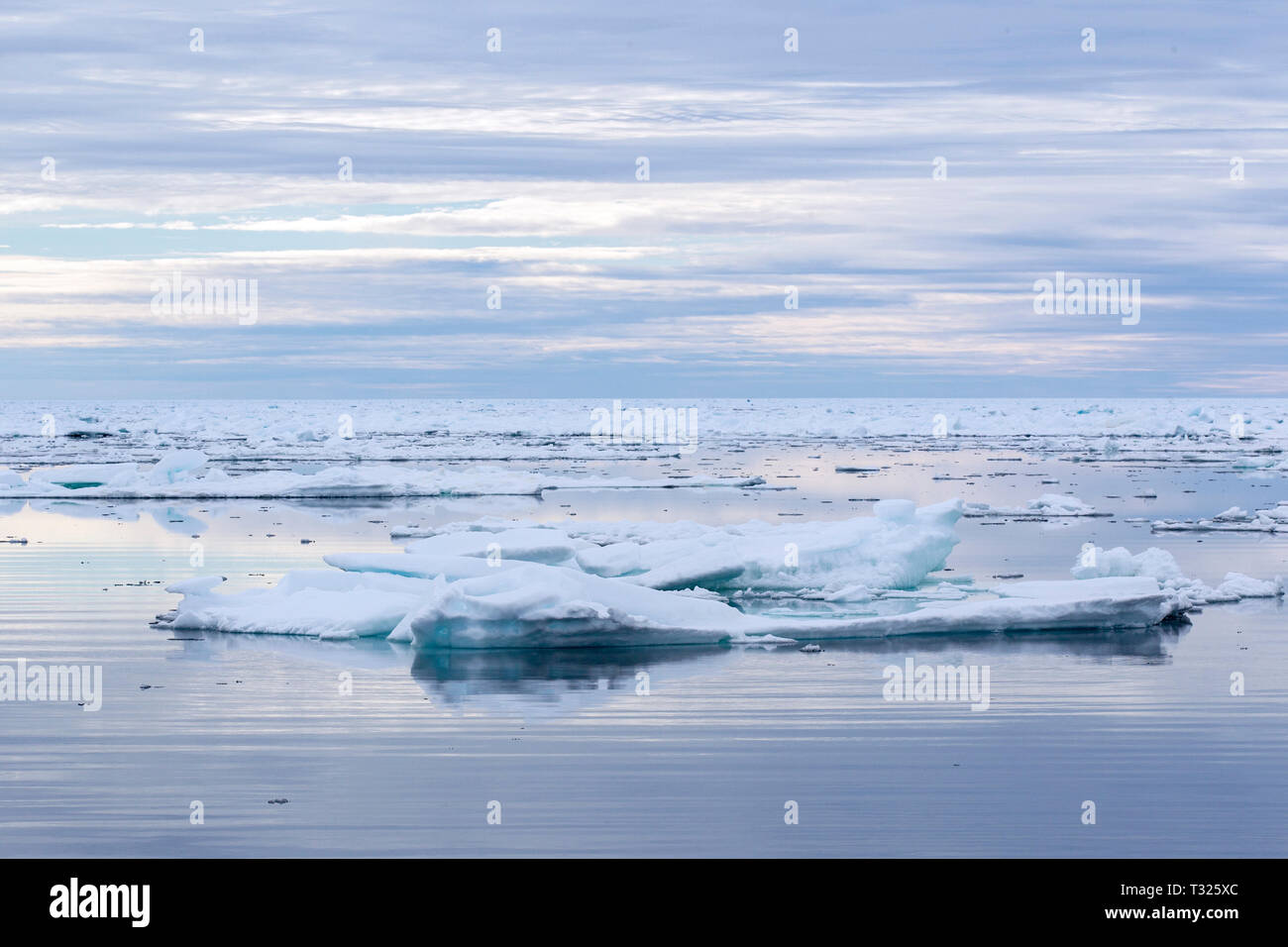 Small Icebergs, Spitsbergen, Arctic Ocean, Norway Stock Photo