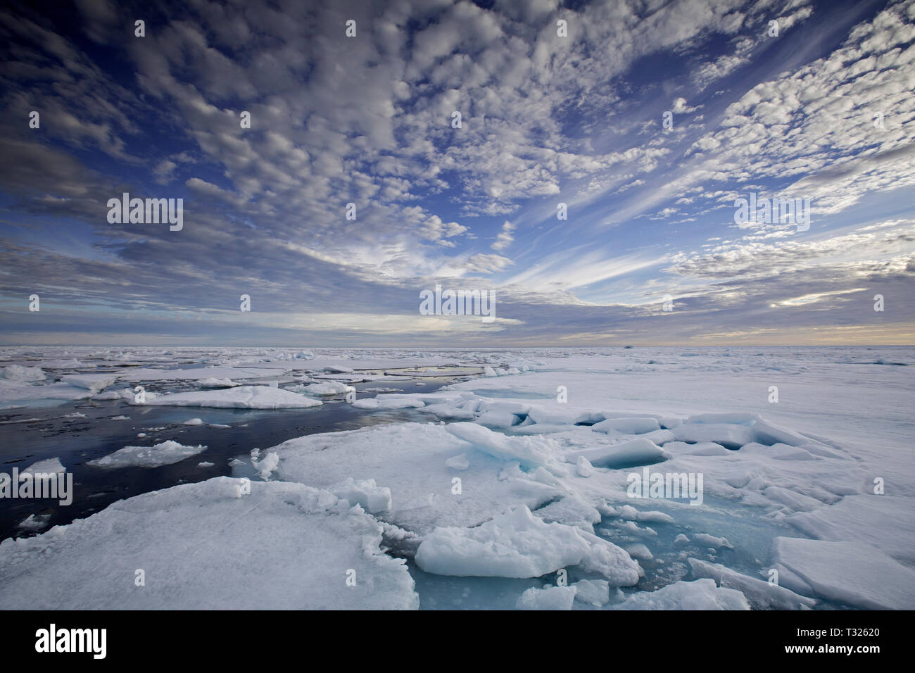 Arctic Sea covered with Ice, Spitsbergen, Arctic Ocean, Norway Stock Photo